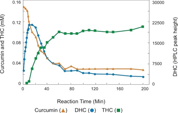 Curcumin is metabolized to DHC and then THC